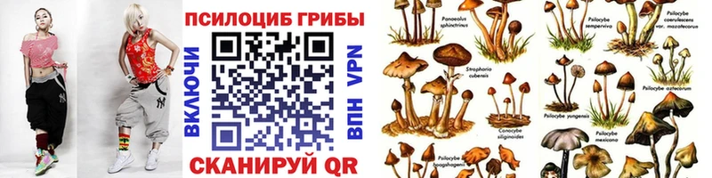 цены   Топки  Псилоцибиновые грибы мицелий 