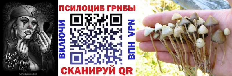 Псилоцибиновые грибы Cubensis Топки